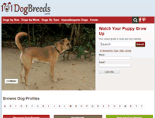 Tablet Screenshot of 101dogbreeds.com